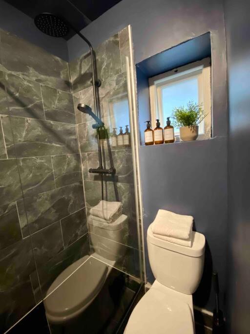 Stylish Studio For 3 Near Regents Park N4 Londyn Zewnętrze zdjęcie